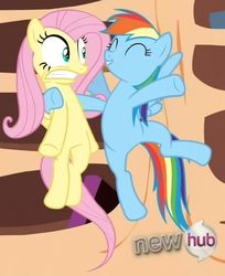 Size: 542x664 | Tagged: safe, screencap, fluttershy, rainbow dash, pony, g4, magic duel, season 3, cropped, cute, dashabetes, face, hub logo