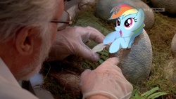 Size: 800x450 | Tagged: safe, artist:capdoodlemcphotoshop, rainbow dash, g4, adoption, cute, dashabetes, egg, hatching, john hammond, jurassic park, parody