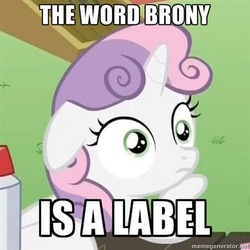 Size: 400x400 | Tagged: safe, edit, edited screencap, screencap, sweetie belle, pony, g4, ponyville confidential, brony, check your privilege, cropped, female, floppy ears, hoof on chin, image macro, label, meme, solo, sudden clarity sweetie belle