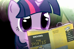 Size: 720x480 | Tagged: safe, derpy hooves, twilight sparkle, pegasus, pony, g4, animated at source, anime reference, book, department of redundancy department, derp, driving for ponies, female, flash, for dummies, mare, protip, redline