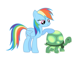 Size: 750x600 | Tagged: safe, artist:brookreed, rainbow dash, tank, pegasus, pony, tortoise, g4, female, folded wings, mare, simple background, transparent background, wings