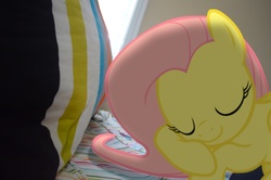 Size: 2463x1631 | Tagged: safe, fluttershy, pony, g4, irl, photo, ponies in real life, sleeping, vector