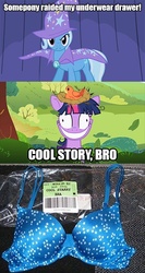 Size: 400x750 | Tagged: safe, trixie, twilight sparkle, g4, bra, clothes, cool starry bra, cool story bro, image macro, photo, starry underwear, underwear