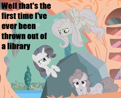 Size: 723x583 | Tagged: safe, fluttershy, pinkie pie, rarity, tom, g4, dan vs, discorded, image macro