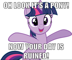 Size: 500x418 | Tagged: safe, twilight sparkle, pony, unicorn, g4, bipedal, bronybait, caption, cute, female, funny, good end, image macro, looking at you, mare, meme, meta, open mouth, reaction image, ruined, simple background, smiling, solo, twiabetes, unicorn twilight, white background, your day is ruined