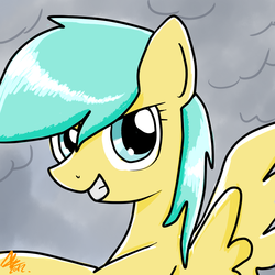 Size: 1024x1024 | Tagged: safe, artist:xnexvenue03, sunshower raindrops, pegasus, pony, g4, bust, cloud, female, mare, solo