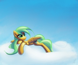 Size: 1200x1000 | Tagged: safe, artist:lightf4lls, sunshower raindrops, pony, g4, cloud, female, solo