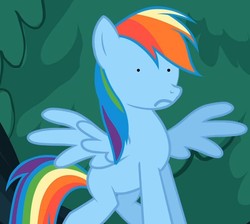 Size: 762x684 | Tagged: safe, rainbow dash, g4, dot-eyes, frown, vector, wat, wingboner, wtf