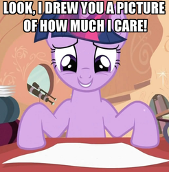 Size: 492x500 | Tagged: safe, twilight sparkle, g4, caption, image macro, no fucks, reaction image