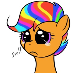 Size: 1000x1000 | Tagged: safe, scootaloo, g4, alternate hairstyle, crying