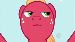 Size: 854x480 | Tagged: safe, screencap, big macintosh, earth pony, pony, g4, the super speedy cider squeezy 6000, frown, male, serious face, serious mac, solo, stallion