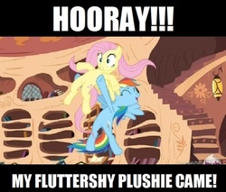 Size: 500x426 | Tagged: safe, edit, edited screencap, screencap, fluttershy, rainbow dash, pony, g4, magic duel, duo, flying, full body, golden oaks library, holding a pony, image macro, letterboxing, lowres