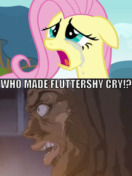 Size: 708x949 | Tagged: safe, fluttershy, human, g4, angry, anime, crying, fluttercry, image macro