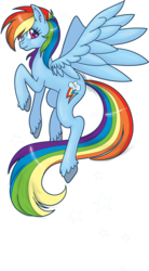 Size: 497x900 | Tagged: safe, artist:hezaa, rainbow dash, pony, g4, female, solo, unshorn fetlocks