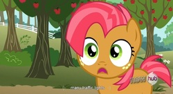 Size: 1575x857 | Tagged: safe, screencap, babs seed, earth pony, pony, g4, one bad apple, apple, apple tree, eyelashes, female, sweet apple acres, tree, youtube caption, youtube link