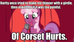 Size: 960x540 | Tagged: safe, cheerilee, rarity, g4, cheerilee pun, clothes, corset, exploitable meme, meme, pun