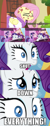 Size: 960x2430 | Tagged: safe, fluttershy, rarity, twilight sparkle, g4, comic, harsher in hindsight, madagascar, meme, pandemic, president, shut down everything