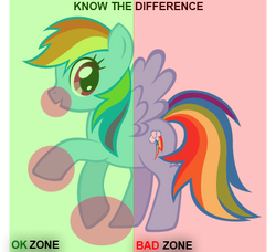 Size: 412x375 | Tagged: safe, rainbow dash, pegasus, pony, g4, diagram, female, mare, no no zone, solo