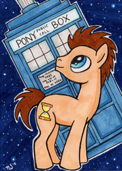 Size: 250x350 | Tagged: safe, artist:nikkiwardart, doctor whooves, time turner, earth pony, pony, g4, male, stallion, tardis