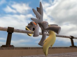 Size: 1152x864 | Tagged: safe, derpy hooves, pegasus, pony, g4, 3d, female, gmod, mare