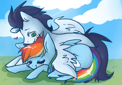 Size: 757x527 | Tagged: safe, artist:matcharoll, rainbow dash, soarin', g4, female, male, ship:soarindash, shipping, straight