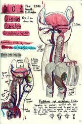 Size: 844x1271 | Tagged: safe, artist:thegreekdollmaker, anatomy, brain, organs, traditional art, vein