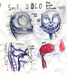 Size: 974x1086 | Tagged: safe, artist:thegreekdollmaker, anatomy, brain, organs, skeleton, traditional art, vein