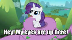 Size: 960x540 | Tagged: safe, edit, edited screencap, screencap, rarity, spike, pony, unicorn, g4, my little pony: friendship is magic, secret of my excess, caption, female, mare, roflbot, spikezilla