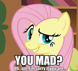 Size: 600x549 | Tagged: safe, fluttershy, g4, image macro, reaction image