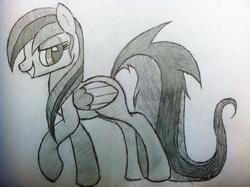 Size: 648x484 | Tagged: safe, artist:mckenzie, oc, oc only, unnamed oc, pegasus, pony, simple background, solo, traditional art, white background