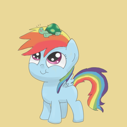 Size: 700x700 | Tagged: safe, artist:spicyhamsandwich, rainbow dash, tank, pegasus, pony, tortoise, g4, adorable face, cute, dashabetes, duo, duo male and female, female, filly, filly rainbow dash, foal, male, tankabetes