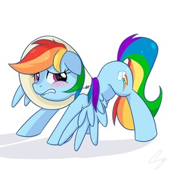 Size: 1500x1500 | Tagged: safe, artist:steffy-beff, rainbow dash, pegasus, pony, g4, blushing, elizabethan collar, embarrassed, female, pet collar, solo