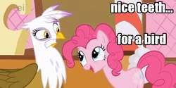 Size: 636x318 | Tagged: safe, edit, edited screencap, screencap, gilda, pinkie pie, earth pony, griffon, pony, g4, griffon the brush off, season 1, beak teeth, duo, female, griffon teeth, image macro, mare, teeth