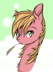 Size: 637x854 | Tagged: dead source, safe, artist:inkytophat, big macintosh, earth pony, pony, g4, bust, male, solo, stallion