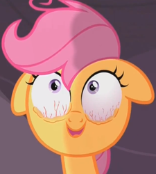 Size: 419x465 | Tagged: safe, scootaloo, g4, season 3, sleepless in ponyville, bloodshot eyes, cropped