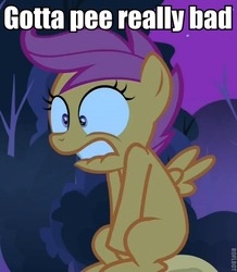 Size: 501x575 | Tagged: safe, edit, edited screencap, screencap, scootaloo, pony, g4, sleepless in ponyville, caption, covering crotch, desperation, female, image macro, lip bite, need to pee, omorashi, potty time, solo, text