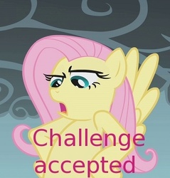 Size: 335x350 | Tagged: safe, edit, edited screencap, screencap, fluttershy, pegasus, pony, dragonshy, g4, caption, challenge accepted, female, hooves on hips, image macro, looking down, mare, open mouth, outdoors, overcast, serious, serious face, solo, spread wings, text, wings