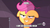 Size: 1272x706 | Tagged: safe, scootaloo, g4, my little pony: friendship is magic, sleepless in ponyville, bloodshot eyes, high, hub logo, image macro