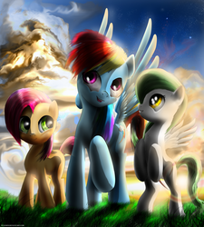 Size: 1800x2000 | Tagged: safe, artist:wylfden, babs seed, rainbow dash, oc, earth pony, pegasus, pony, g4, female, filly, mare, trio