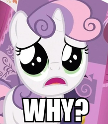 Size: 356x410 | Tagged: safe, sweetie belle, g4, sleepless in ponyville, cute, image macro, reaction image, sad, why