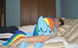 Size: 1024x629 | Tagged: safe, rainbow dash, human, pony, g4, irl, photo, ponies in real life, vector