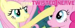 Size: 328x125 | Tagged: safe, fluttershy, pinkie pie, g4, team