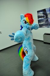 Size: 850x1280 | Tagged: source needed, safe, artist:spainfischer, rainbow dash, pegasus, pony, g4, 2011, clothes, cosplay, fursuit, irl, photo, ponysuit, pose, smiling, smirk, suit, tail, wings