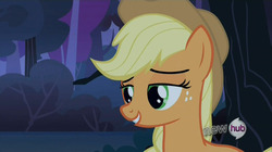 Size: 1280x719 | Tagged: safe, screencap, applejack, earth pony, pony, g4, sleepless in ponyville, female, image macro, lidded eyes, solo