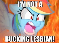 Size: 300x219 | Tagged: safe, rainbow dash, g4, bloodshot eyes, fire, image macro, rage, ragebow dash