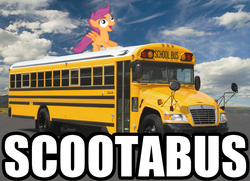 Size: 766x554 | Tagged: safe, scootaloo, g4, bus, image macro, photo, pun, scootabus, scootabuse, scp-1949