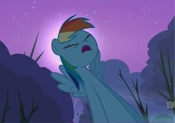 Size: 734x513 | Tagged: safe, rainbow dash, g4, sleepless in ponyville, reaction image