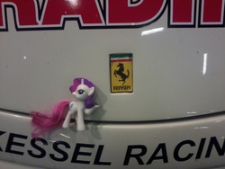 Size: 1600x1200 | Tagged: safe, rarity, pony, g4, car, ferrari, ferrarity, irl, mcdonald's happy meal toys, photo, racecar, solo, toy