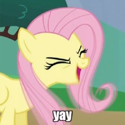 Size: 350x350 | Tagged: safe, fluttershy, pegasus, pony, g4, eyes closed, female, flutteryay, image macro, impact font, mare, reaction image, yay