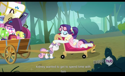 Size: 1680x1021 | Tagged: safe, screencap, rarity, sweetie belle, g4, sleepless in ponyville, camping outfit, hub logo, kidney, youtube caption